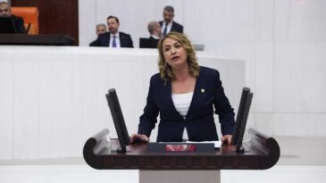 Sorunlar Artmaya Devam Ediyor, Sanayi Sitesi Nerede Kurulacak?