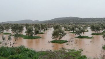 Osmaniye’de Sağanak Yağışlar Tarım Arazilerini ve Evleri Su Bastı