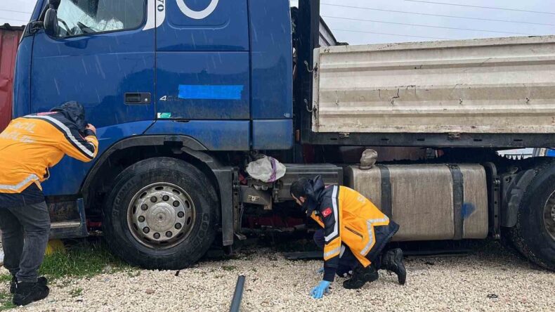 Otobüsle Çarpışan Tır Barakaya Daldı: Yaralılar İçin Seferberlik