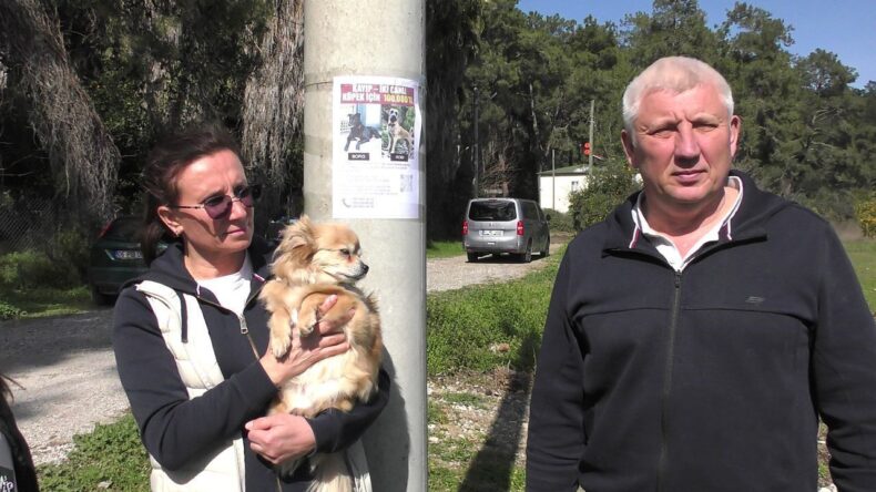 Rus Sahipleri Kaybolan Köpeklerini Sokak Sokak Arıyor