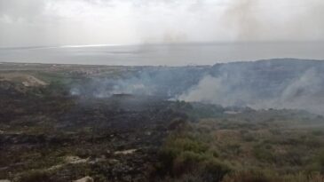 Samandağ’da Makilik Alanda Yangın Söndürüldü