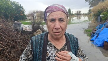 Selde Mahsur Kalan Köpeği AKOM Ekipleri Kurtardı