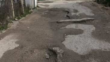 Şükrü Kanatlı ve Özyeğin Konteyner Kentleri Acil Çözüm Bekliyor!