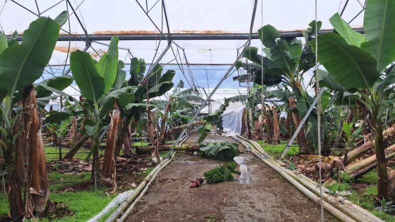 TARSİM, Antalya’daki Sel Felaketinde Üreticilere 586 Milyon Lira Hasar Ödemesi Yapacak