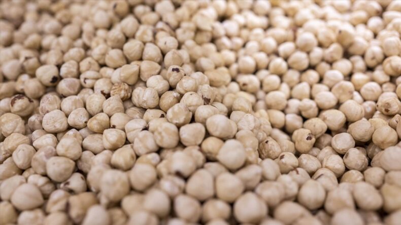 Türkiye Fındık İhracatında Rekor Gelir: 5 Ayda 973 Milyon Dolar