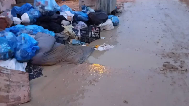 Çekmece Mahalle Sakinleri Yetkililere Seslendi!