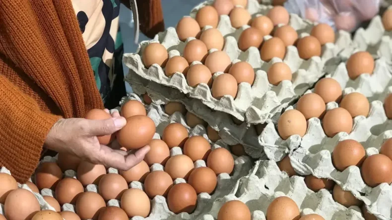 Yumurtada Yeni Dönem: Artık Satılmayacak!