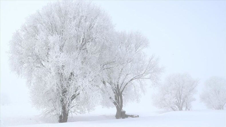 Erzurum, Ardahan, Kars ve Ağrı’da Dondurucu Soğuk Hava Etkili