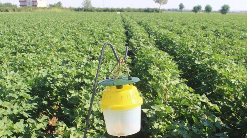 İskenderun Orman İşletme Müdürlüğü’nden Yeni İlan