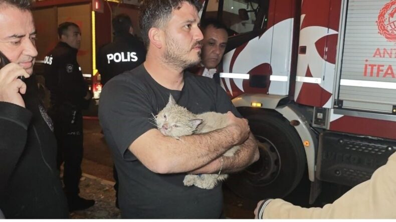 Korkutan Yangında Mahsur Kalan Kedi İtfaiye Tarafından Kurtarıldı