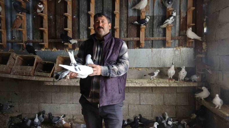 45 Yıldır Güvercin Besleyen Adamın Hikayesi