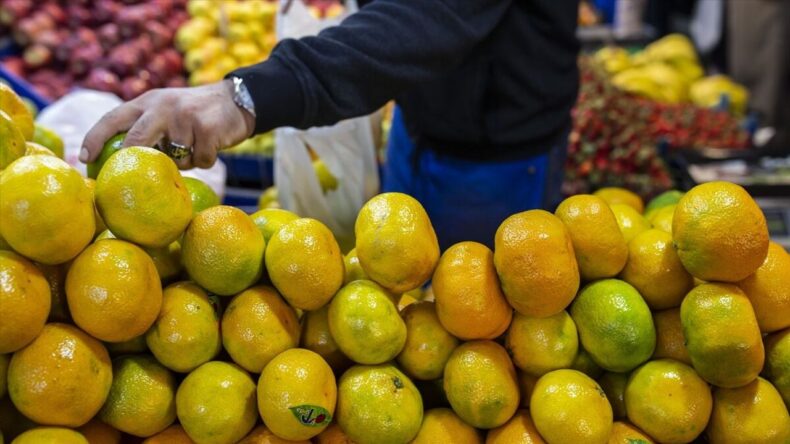 Tarım ve Gıda Sektöründe Yılın İlk Ayında 2,4 Milyar Dolarlık İhracat