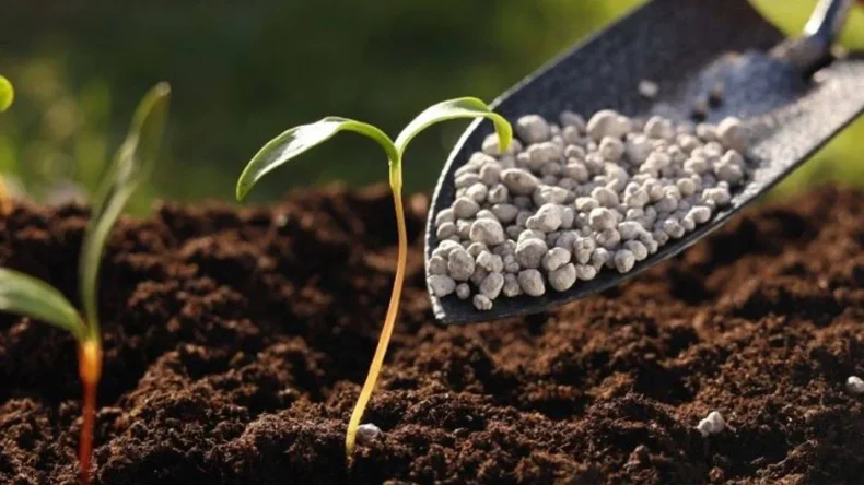 Gübrede Kritik Karar: Üre İthalatında Gümrük Vergisi Sıfırlandı