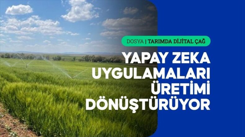 Yapay Zeka Tarımda Yatırım Kararlarını Şekillendiriyor