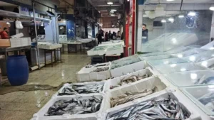 İskenderun’da Fırtına Nedeniyle Balıkçı Tekneleri Hasar Gördü