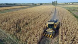 Hububat Üretiminde Bahar Yağışları ve Sıcaklıkların Önemi