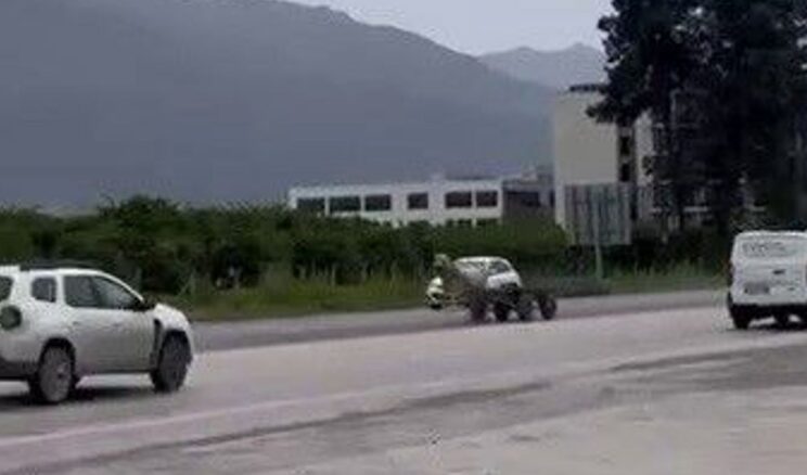 Kaçak At E-5 Karayolu’nda Trafiği Tehdit Etti