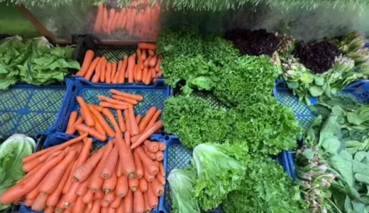 Irak, Türkiye’nin Yaş Meyve Sebze İhracatında İlk Sırada