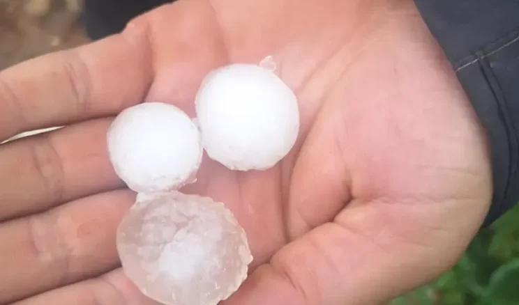 Dolu Felaketi Tarım Arazilerini Vurdu: Çiftçiler Çağrı Yapıyor!