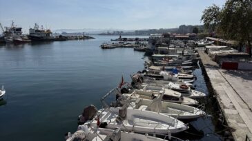 Tekirdağ’da Balıkçılar İstavrit ve Sardalya Avlıyor