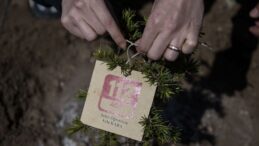 Ayla öğretmen ve öğrencilerinin adı fidanlarda yaşatılacak