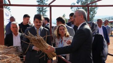 Dev Proje İle Kırıkhan Kazanıyor: İstilacı Bitkiden Milyonluk Potansiyel