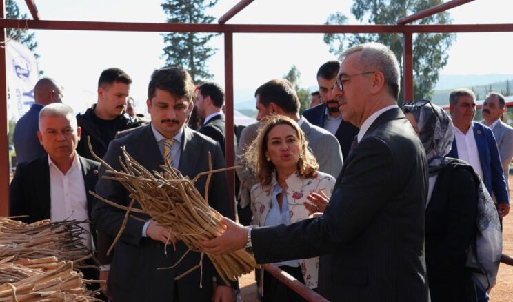 Dev Proje İle Kırıkhan Kazanıyor: İstilacı Bitkiden Milyonluk Potansiyel