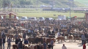 2026 Kurbanlık Fiyatları Açıklandı