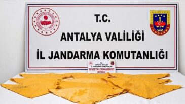 Alanya’da uyuşturucu operasyonunda 2 şüpheli yakalandı