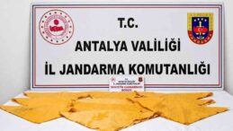 Alanya’da 1 kilo uyuşturucu madde ele geçirildi
