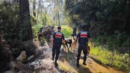 Antalya’da kaybolan 41 keçi jandarma tarafından bulundu