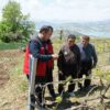 Kahramanmaraş’ta Kabarcık Üzüm’e koruma hamlesi
