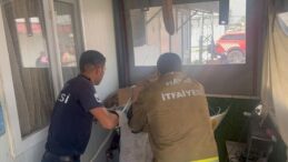 Antakya’da eve giren yılanı itfaiye yakaladı