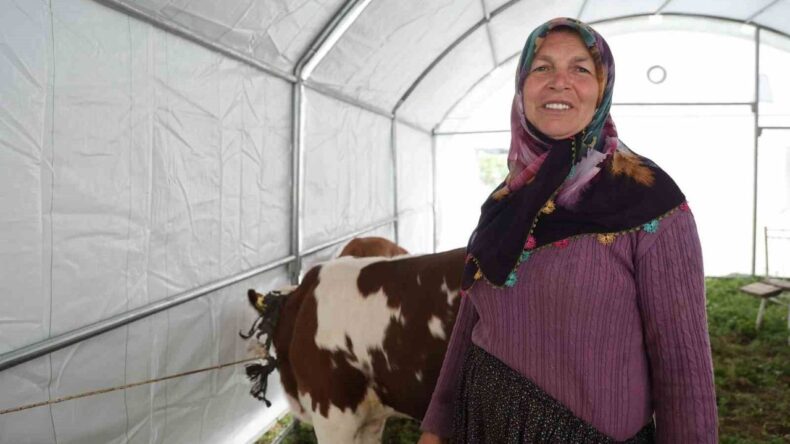 Hayriye Teyze’nin Yüzü Devlet Desteğiyle Güldü