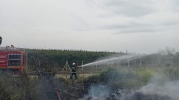 Hassa’da Zeytinlik Yangını Kontrol Altına Alındı