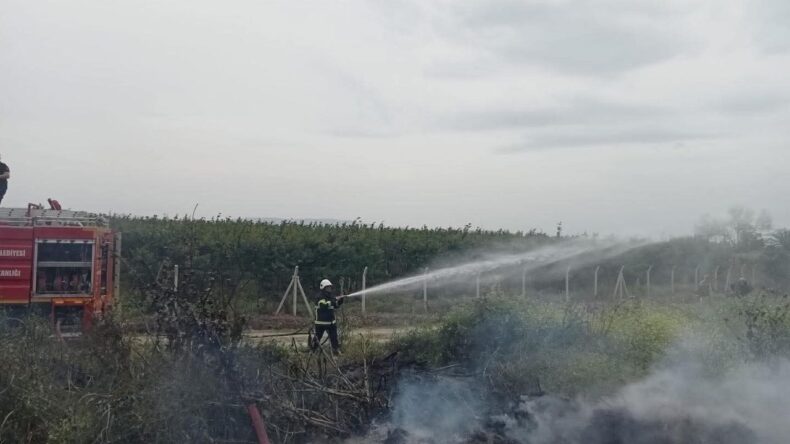 Hassa’da Zeytinlik Yangını Kontrol Altına Alındı