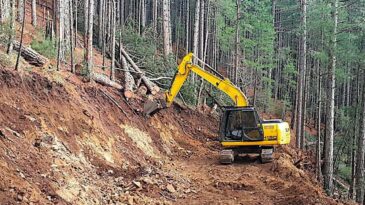 Dörtyol Orman İşletme Müdürlüğü İlanı Yayınladı