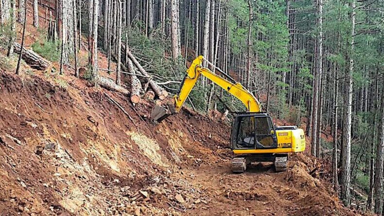 Dörtyol Orman İşletme Müdürlüğü İlanı Yayınladı