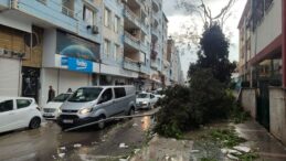Şanlıurfa’da fırtınanın verdiği hasar gün aydınlanınca ortaya çıktı