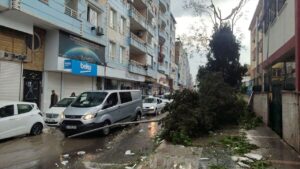 Şanlıurfa’da fırtınanın verdiği hasar gün aydınlanınca ortaya çıktı