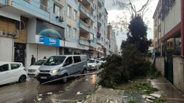 Şanlıurfa’da fırtınanın verdiği hasar gün aydınlanınca ortaya çıktı