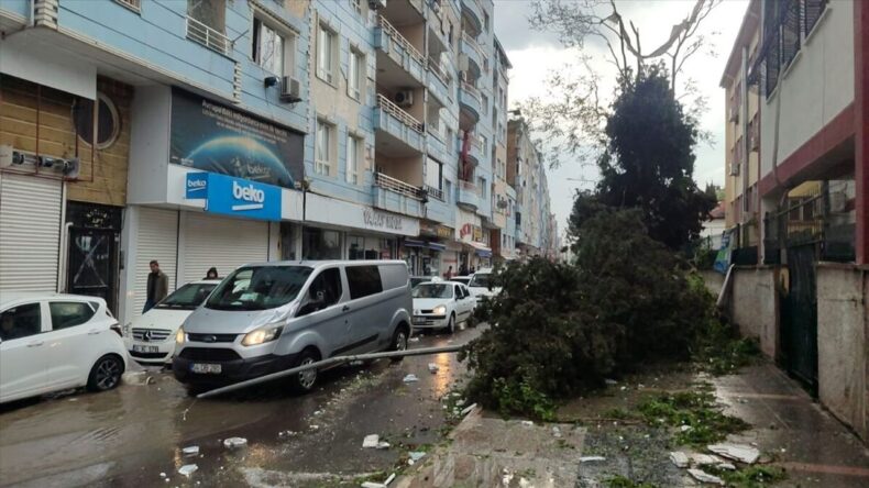 Şanlıurfa’da fırtınanın verdiği hasar gün aydınlanınca ortaya çıktı