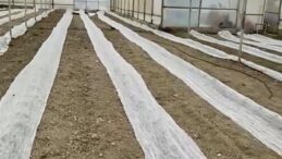 Burdur’da Seracılar Don Uyarısına Karşı Tül İle Önlem Aldı