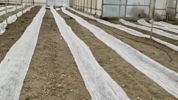 Burdur’da Seracılar Don Uyarısına Karşı Tül İle Önlem Aldı
