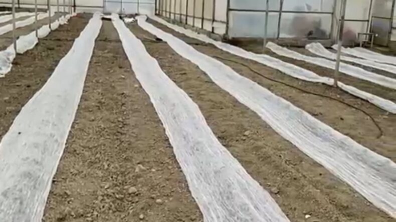 Burdur’da Seracılar Don Uyarısına Karşı Tül İle Önlem Aldı