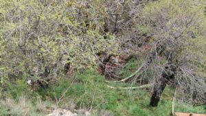 Isparta’da Yüksekten Düşen Kadın Hayatını Kaybetti