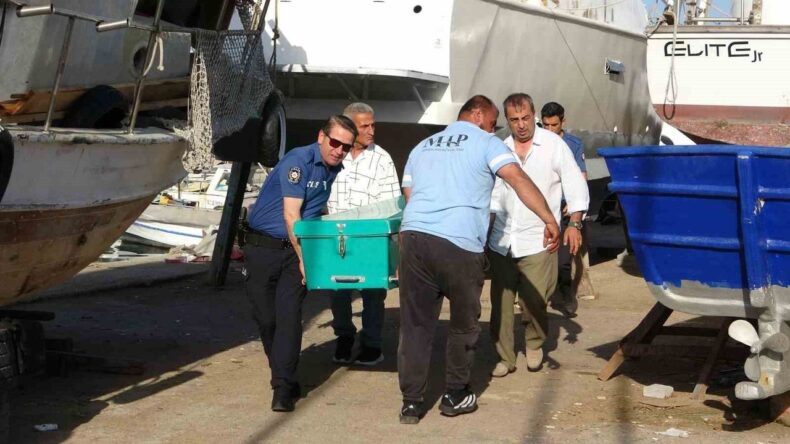 Mersin’de balıkçı barınağında erkek cesedi bulundu