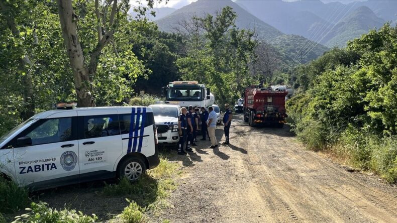 Hatay’da çıkan orman yangını söndürüldü