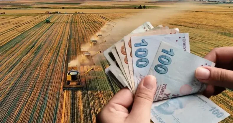 Köyde Evi Olanlara Büyük Destek Programı Açıklandı!