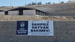 Sahipsiz Hayvanlar İçin Dev Merkez Açılıyor